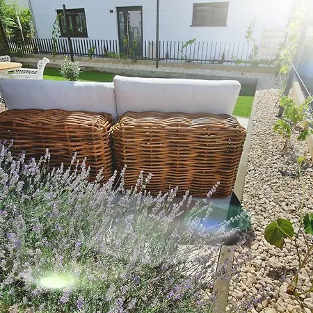 Zeil Daire Eltville am Rhein